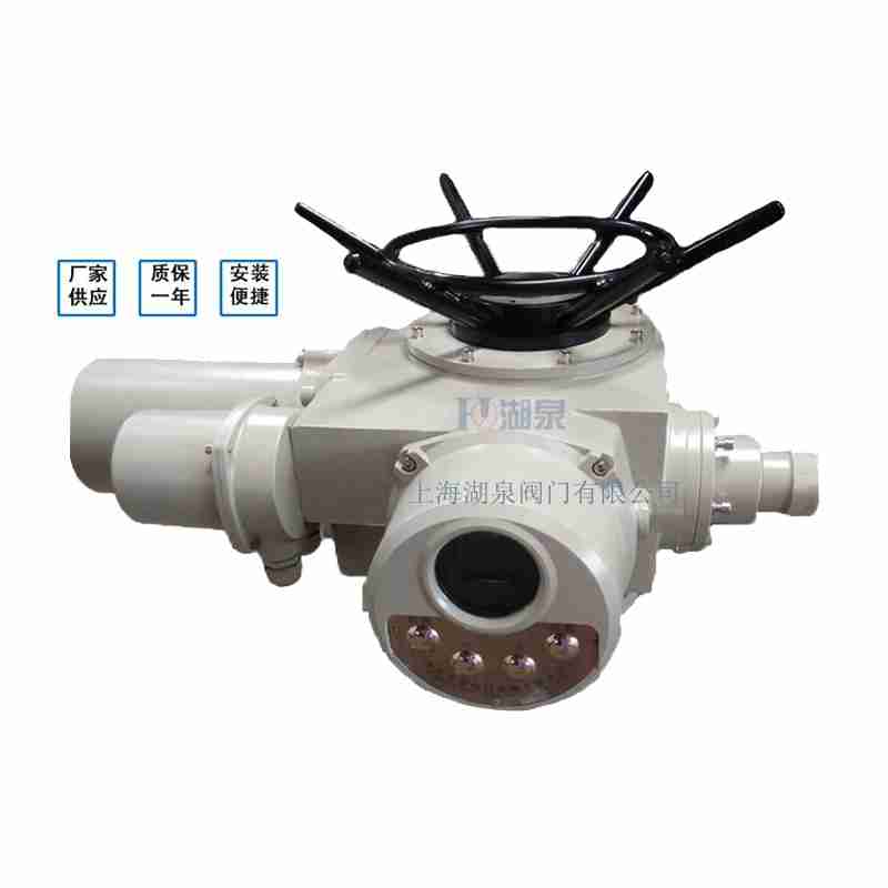 閥門電動裝置（dzw05,10,20，30,45,60，90,12