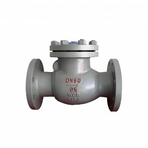 DN50 PN25 介質(zhì)：甲胺，溫度：80℃止回閥